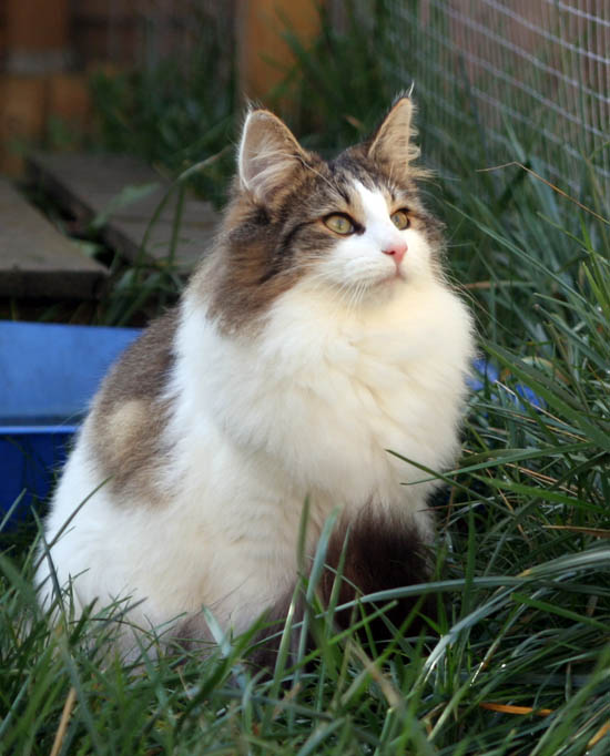 dazzling - 7 mois.jpg