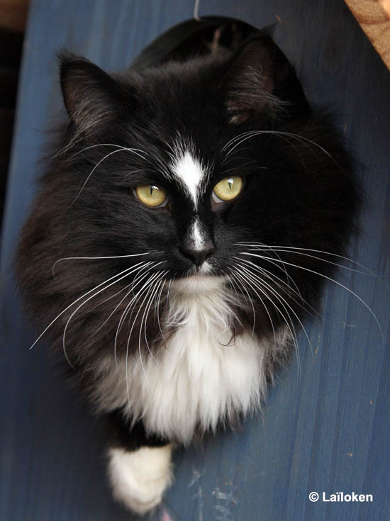 piero - decembre 2008.jpg