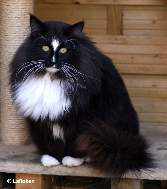 piero - fevrier 2009.jpg