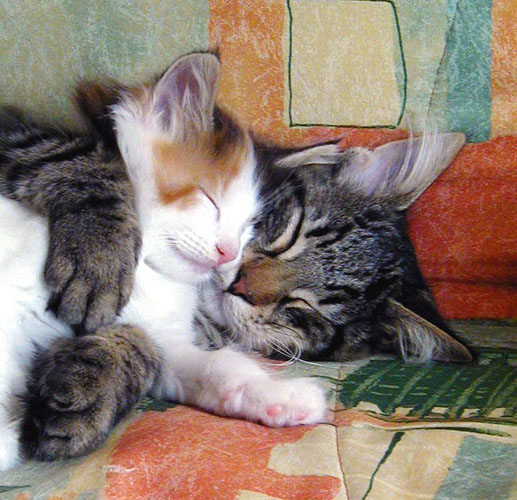 Terek - 4 mois - avec Arleen.jpg - OLYMPUS DIGITAL CAMERA