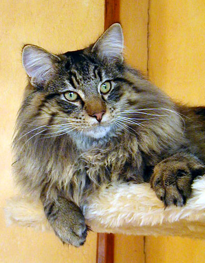 Terek - 8 mois.jpg - OLYMPUS DIGITAL CAMERA